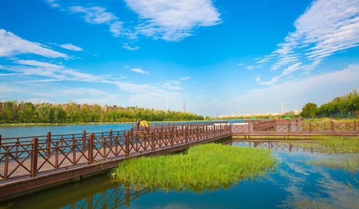 賈魯河“變形記”| 一條幸福河的煥新重生